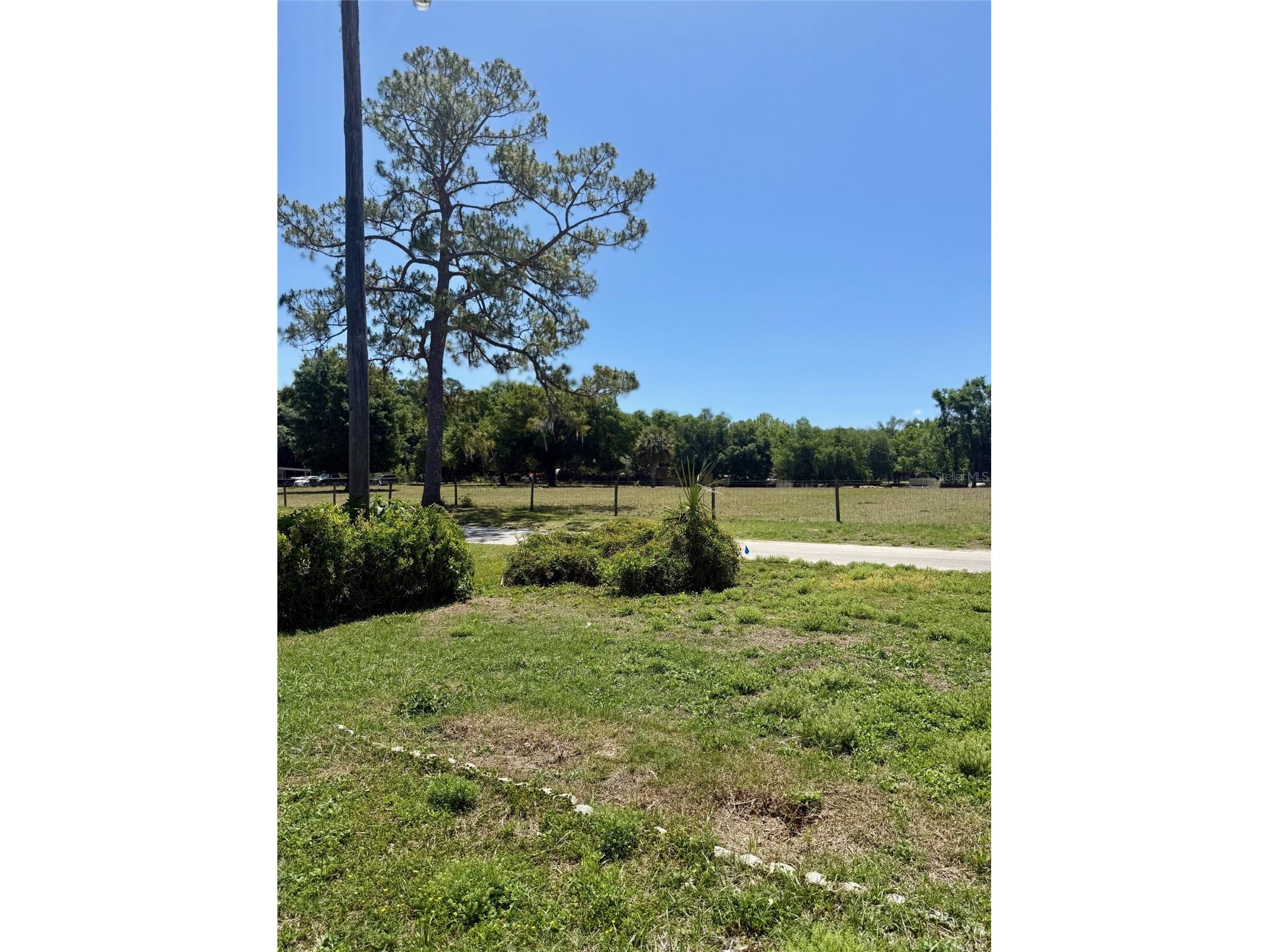 13519 Woodland Drive Astatula FL 34705 - LITTLE LAKE HARRIS O6398231 image11