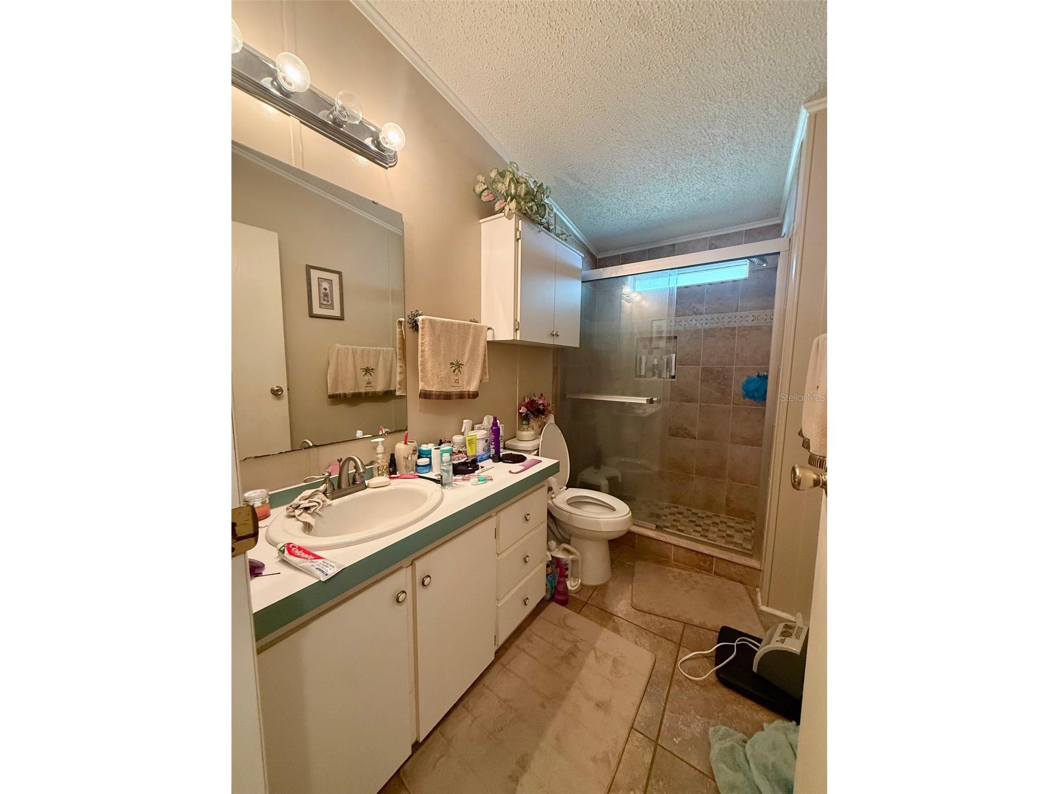 13519 Woodland Drive Astatula FL 34705 - LITTLE LAKE HARRIS O6398231 image18