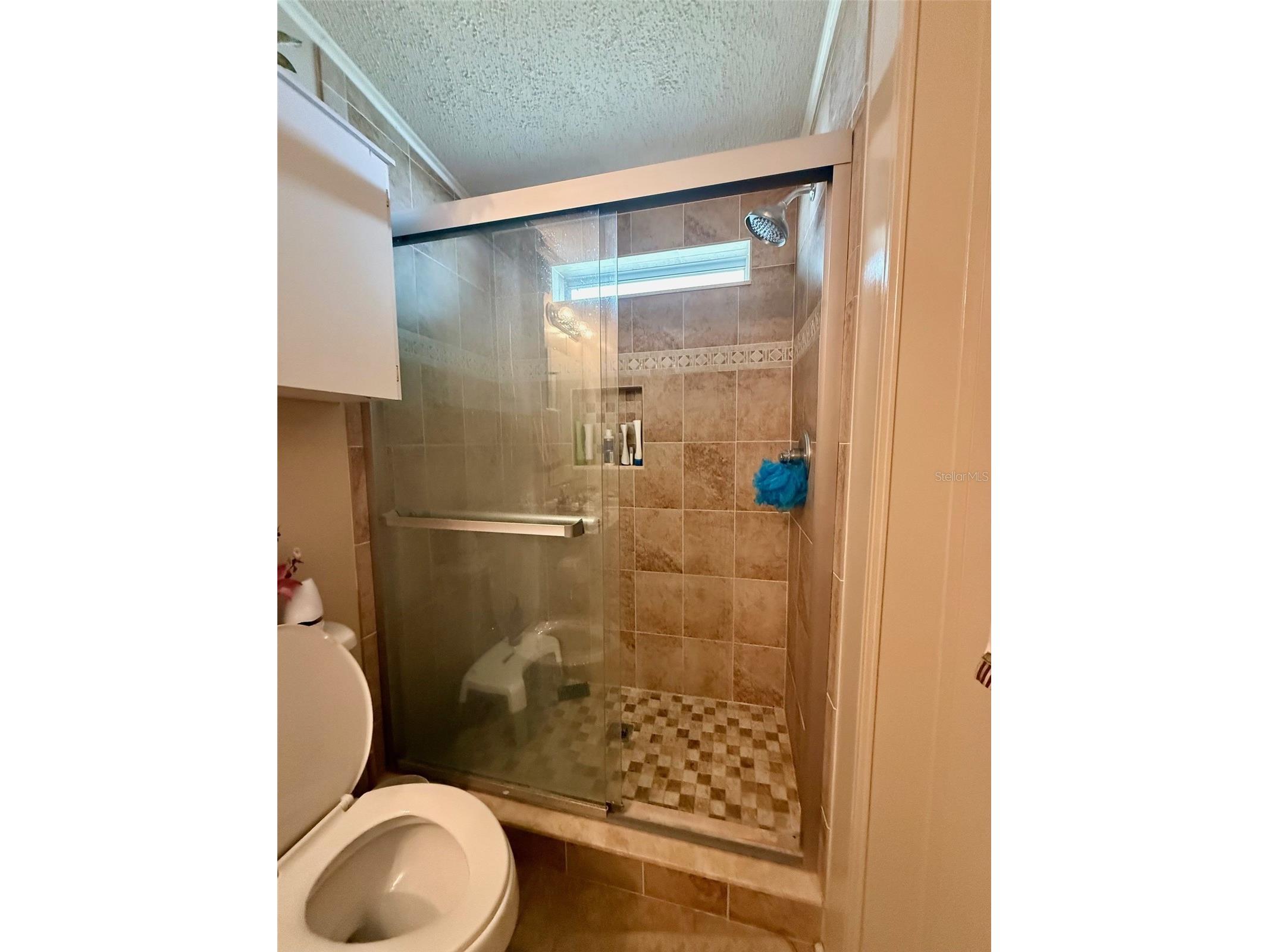 13519 Woodland Drive Astatula FL 34705 - LITTLE LAKE HARRIS O6398231 image21