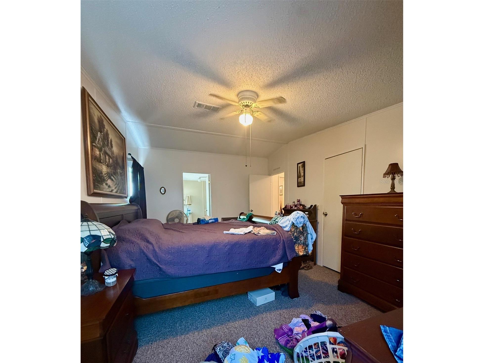 13519 Woodland Drive Astatula FL 34705 - LITTLE LAKE HARRIS O6398231 image23
