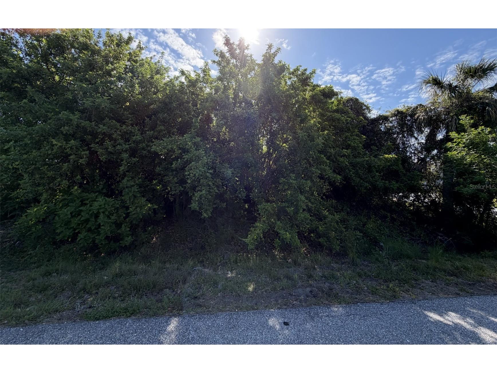 1352 Abalom Street Port Charlotte FL 33980 N6143960 image3