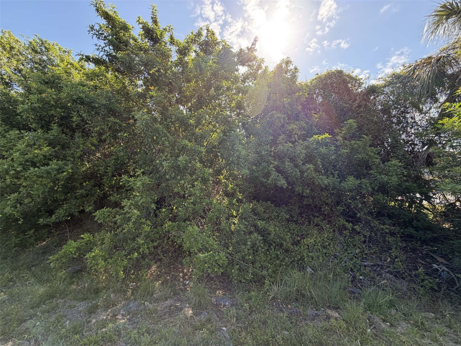1352 Abalom Street Port Charlotte FL 33980 N6143960 image4