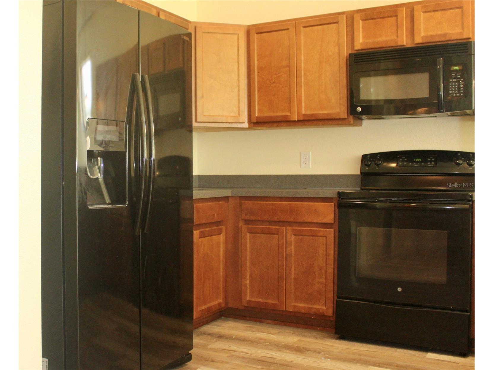 1352 Coriander Drive Kissimmee FL 34759 S5141399 image11