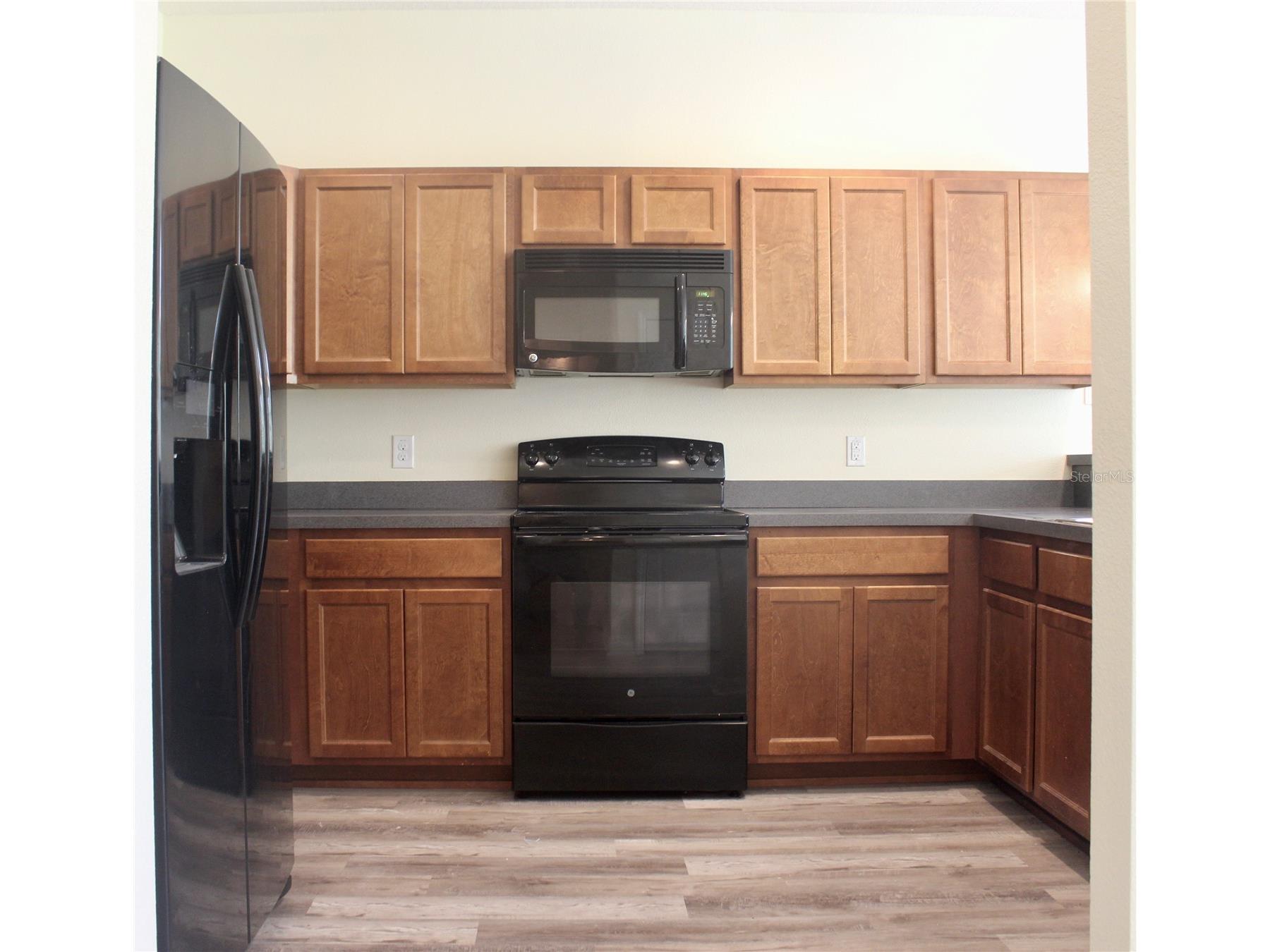 1352 Coriander Drive Kissimmee FL 34759 S5141399 image12