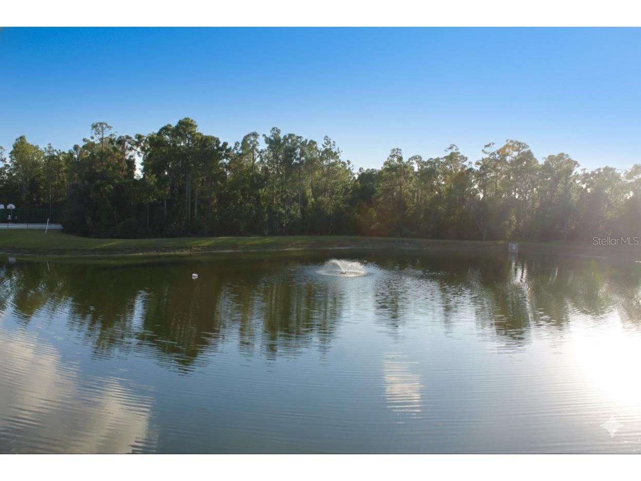 1352 Coriander Drive Kissimmee FL 34759 S5141399 image26