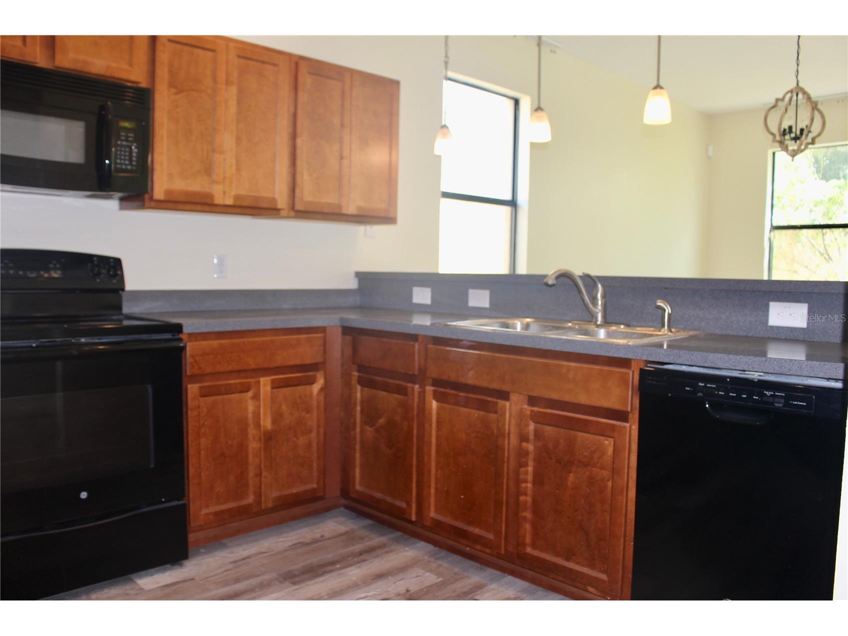 1352 Coriander Drive Kissimmee FL 34759 S5141399 image4