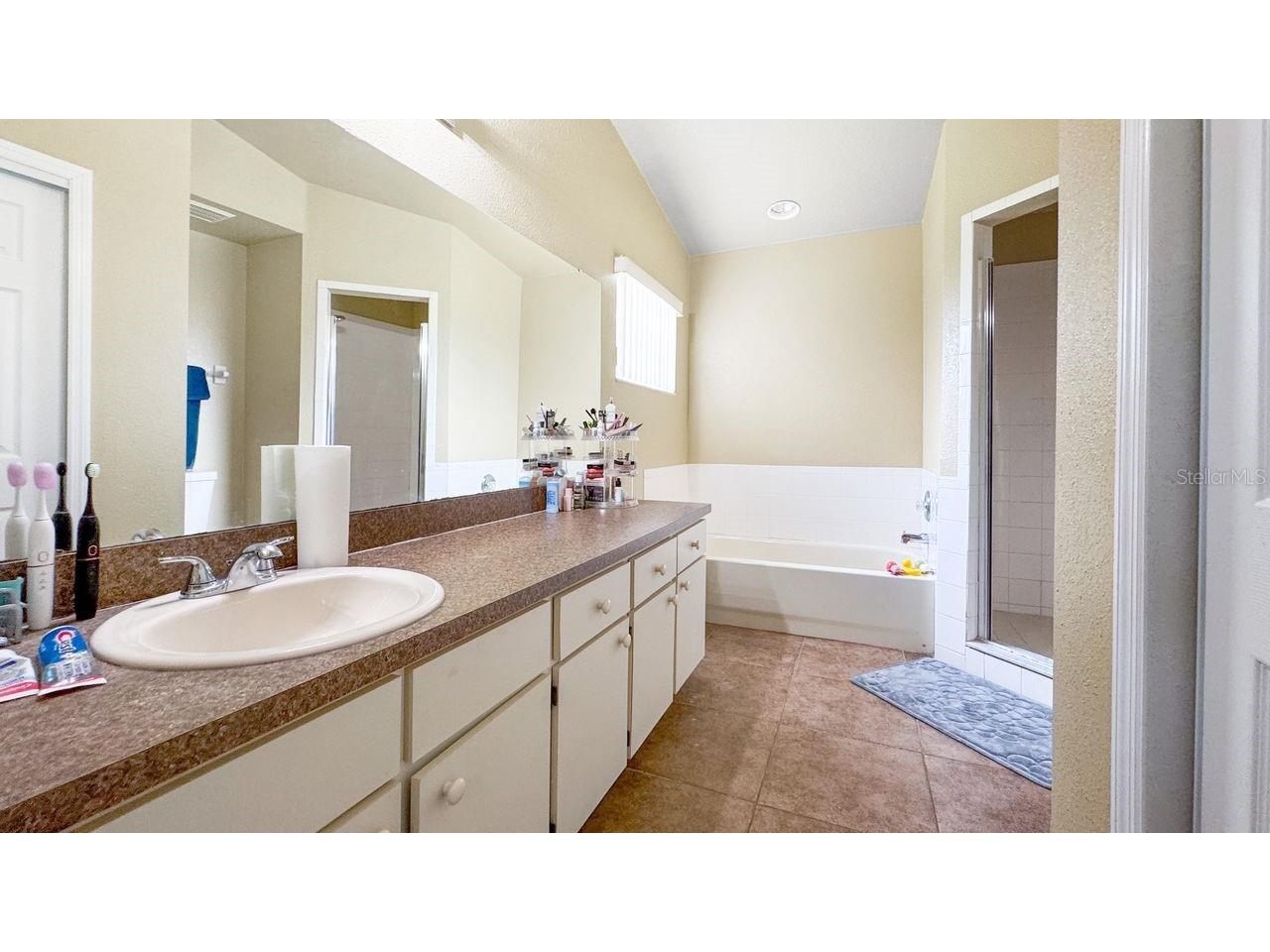 1352 Daniel Cove Drive Winter Garden FL 34787 S5133590 image9