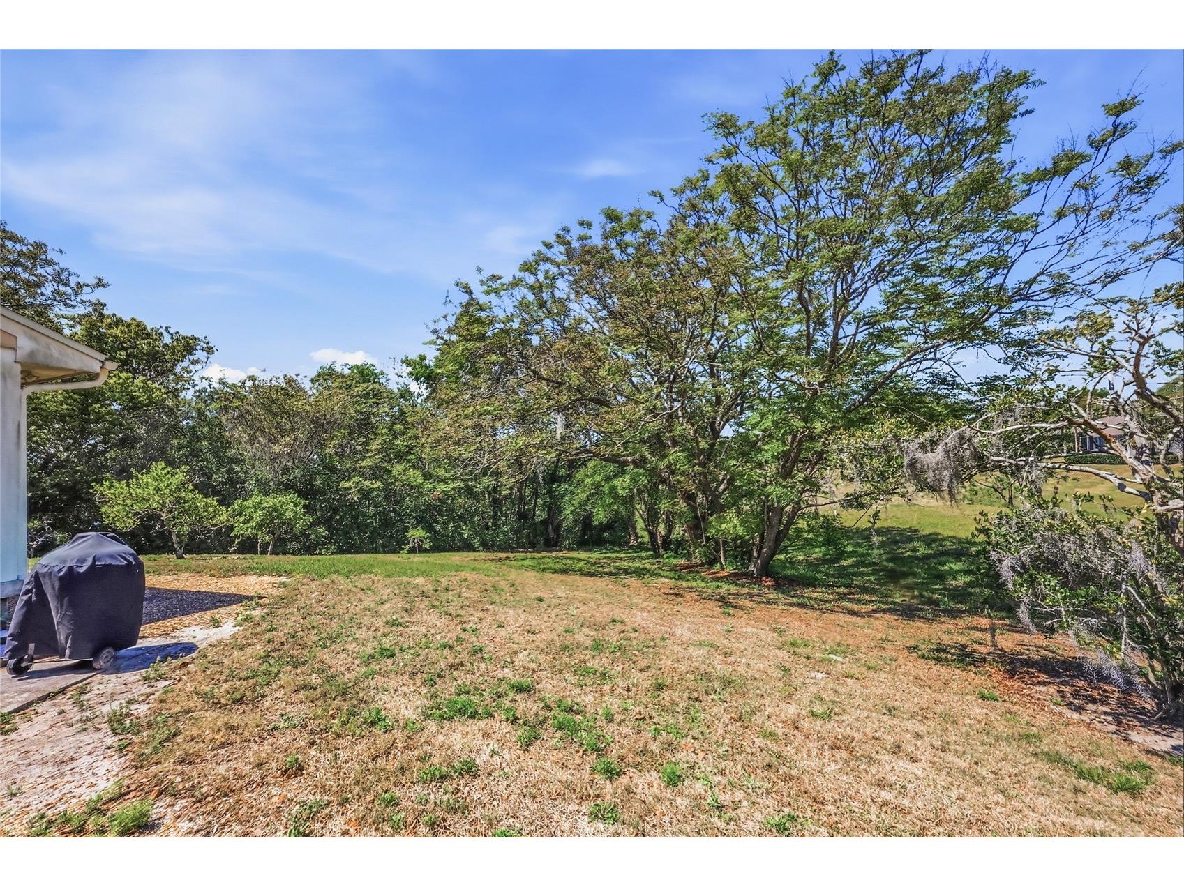1352 Errol Parkway Apopka FL 32712 O6396352 image50