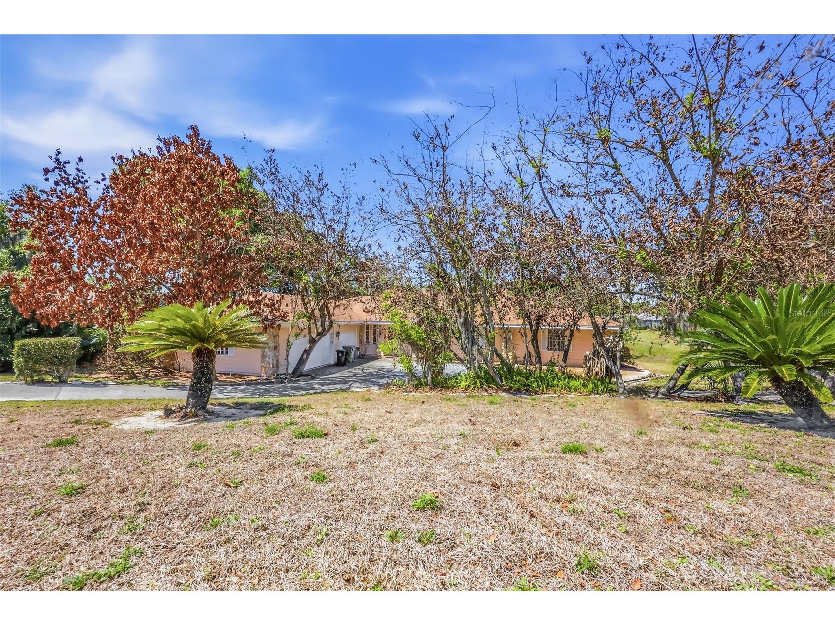 1352 Errol Parkway Apopka FL 32712 O6396352 image58