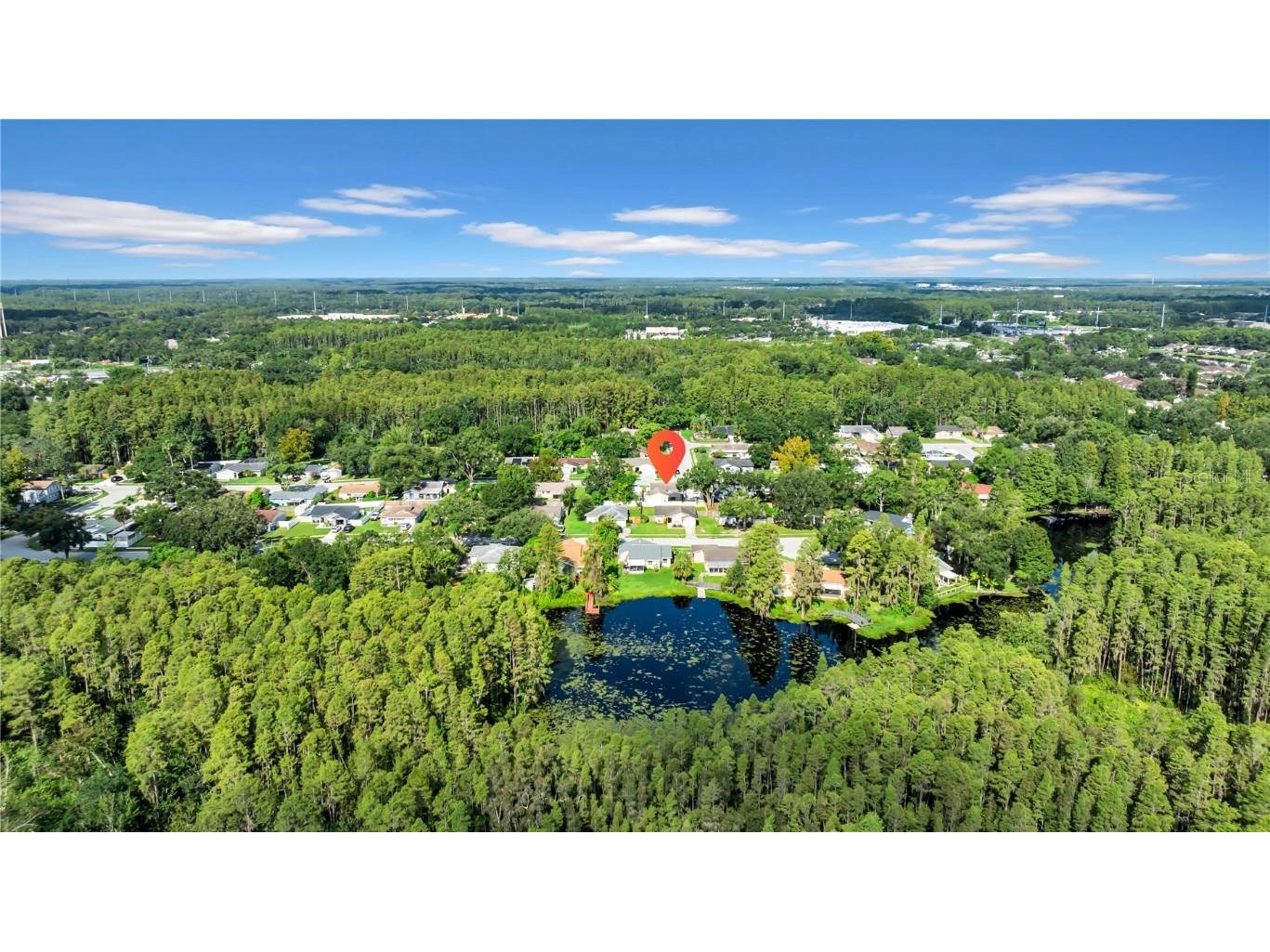 1352 Foxwood Drive Lutz FL 33549 O6340926 image33