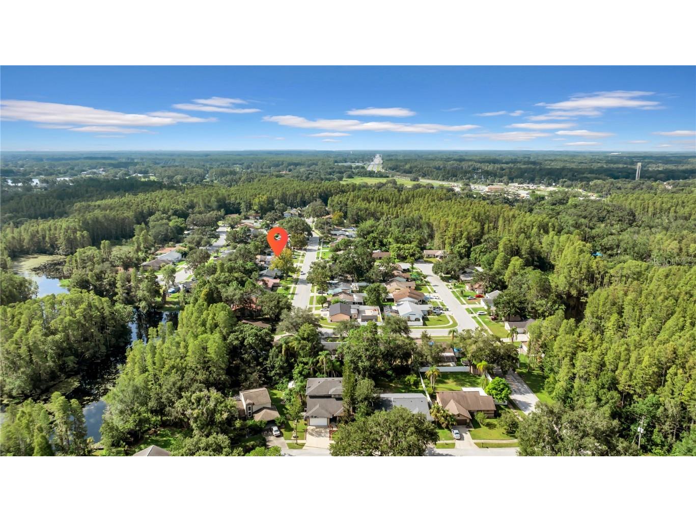 1352 Foxwood Drive Lutz FL 33549 O6340926 image34