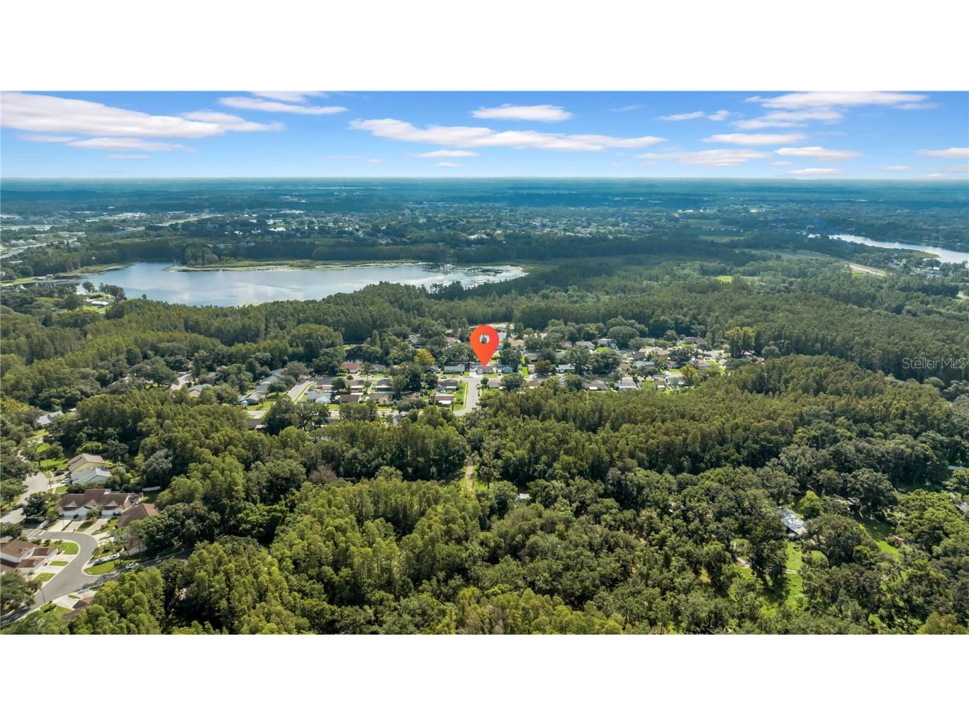 1352 Foxwood Drive Lutz FL 33549 O6340926 image35