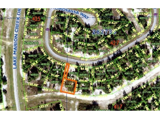 1352 Homosassa Drive Poinciana FL 34759 O6086978 image1