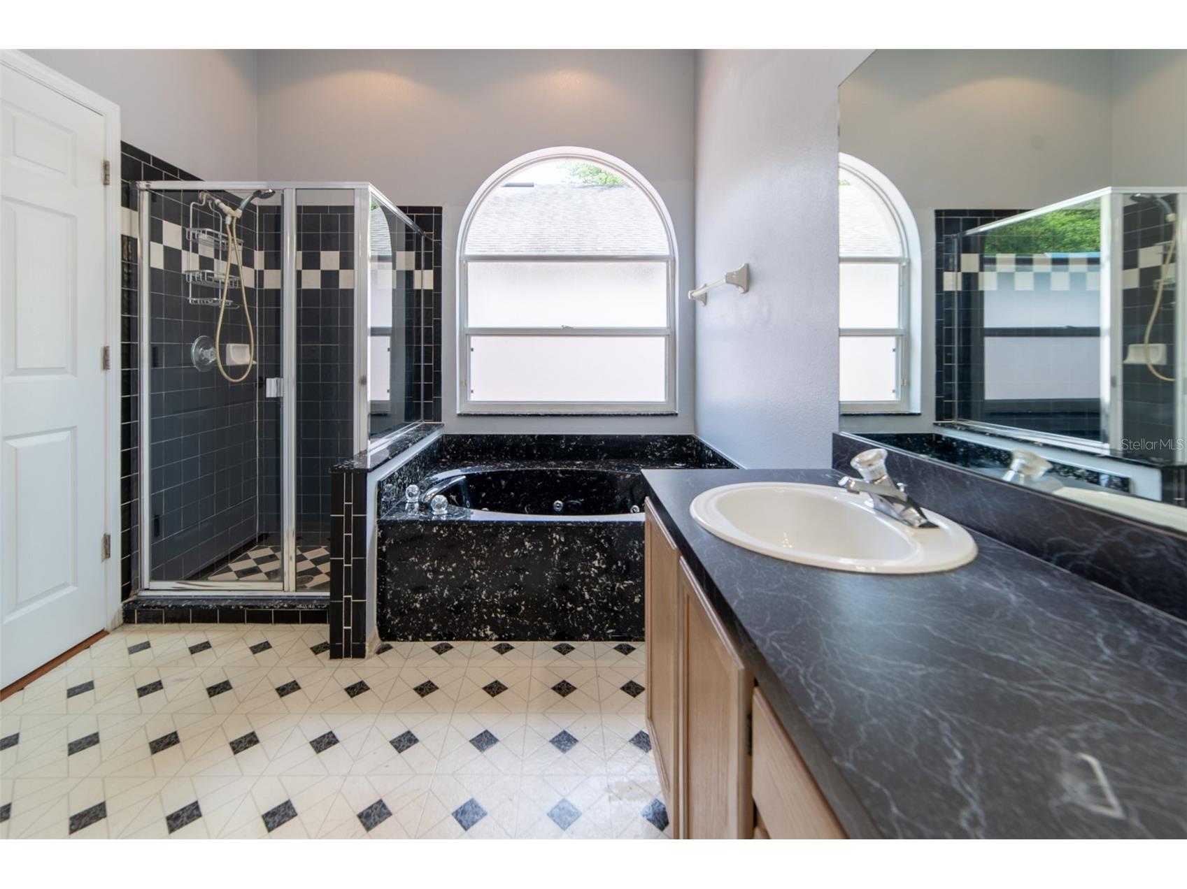 1352 Woodfield Oaks Drive Apopka FL 32703 O6393132 image28