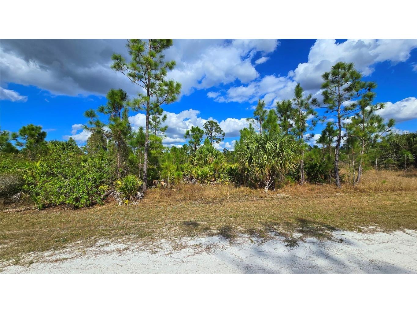 13520 Carousel Drive Punta Gorda FL 33955 C7505593 image10