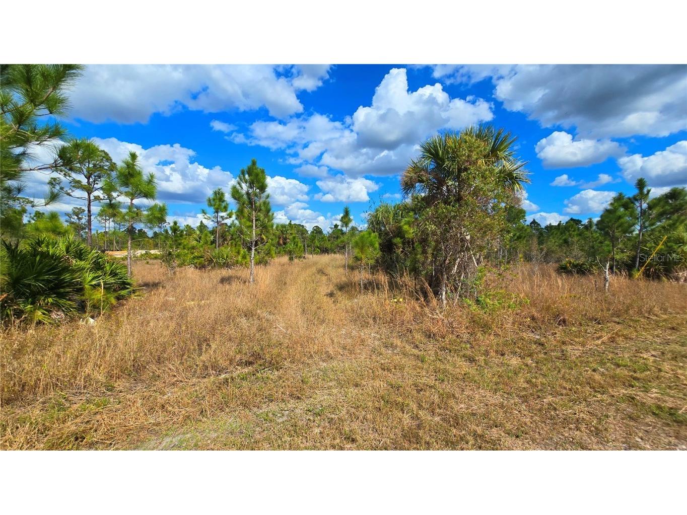 13520 Carousel Drive Punta Gorda FL 33955 C7505593 image11