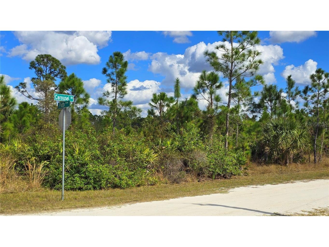 13520 Carousel Drive Punta Gorda FL 33955 C7505593 image9