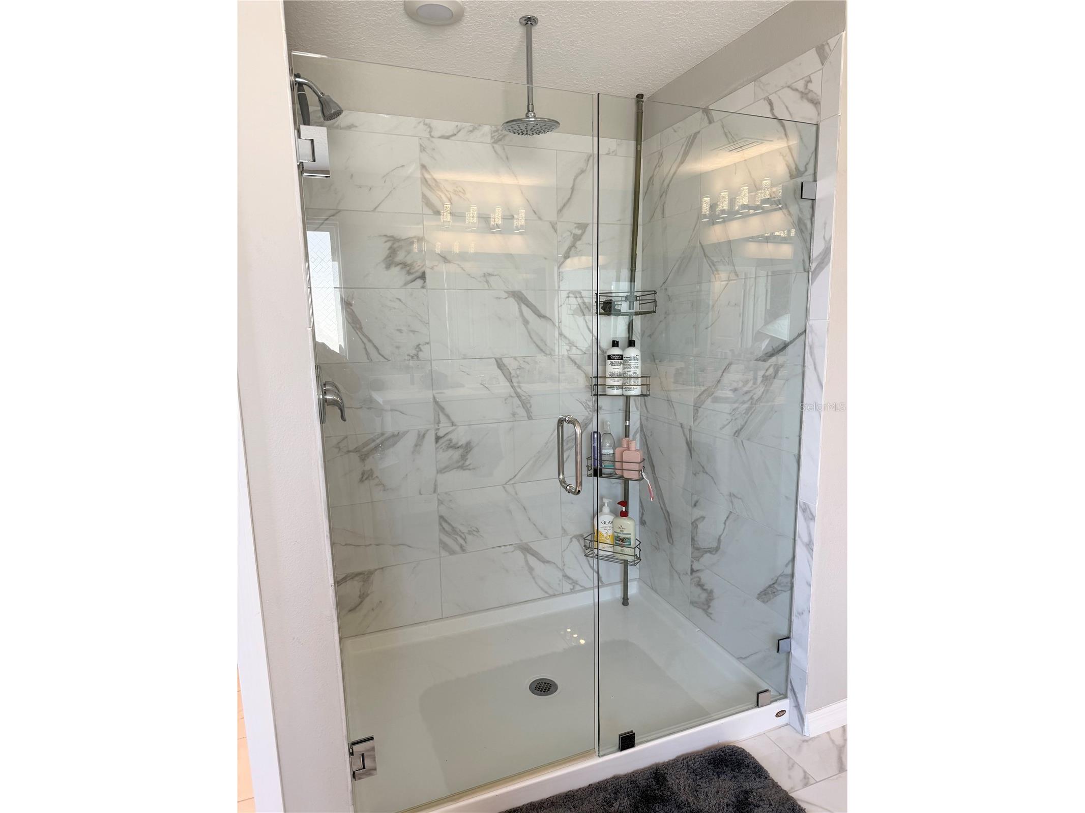 13521 Palmera Vista Drive Riverview FL 33579 TB8507162 image14