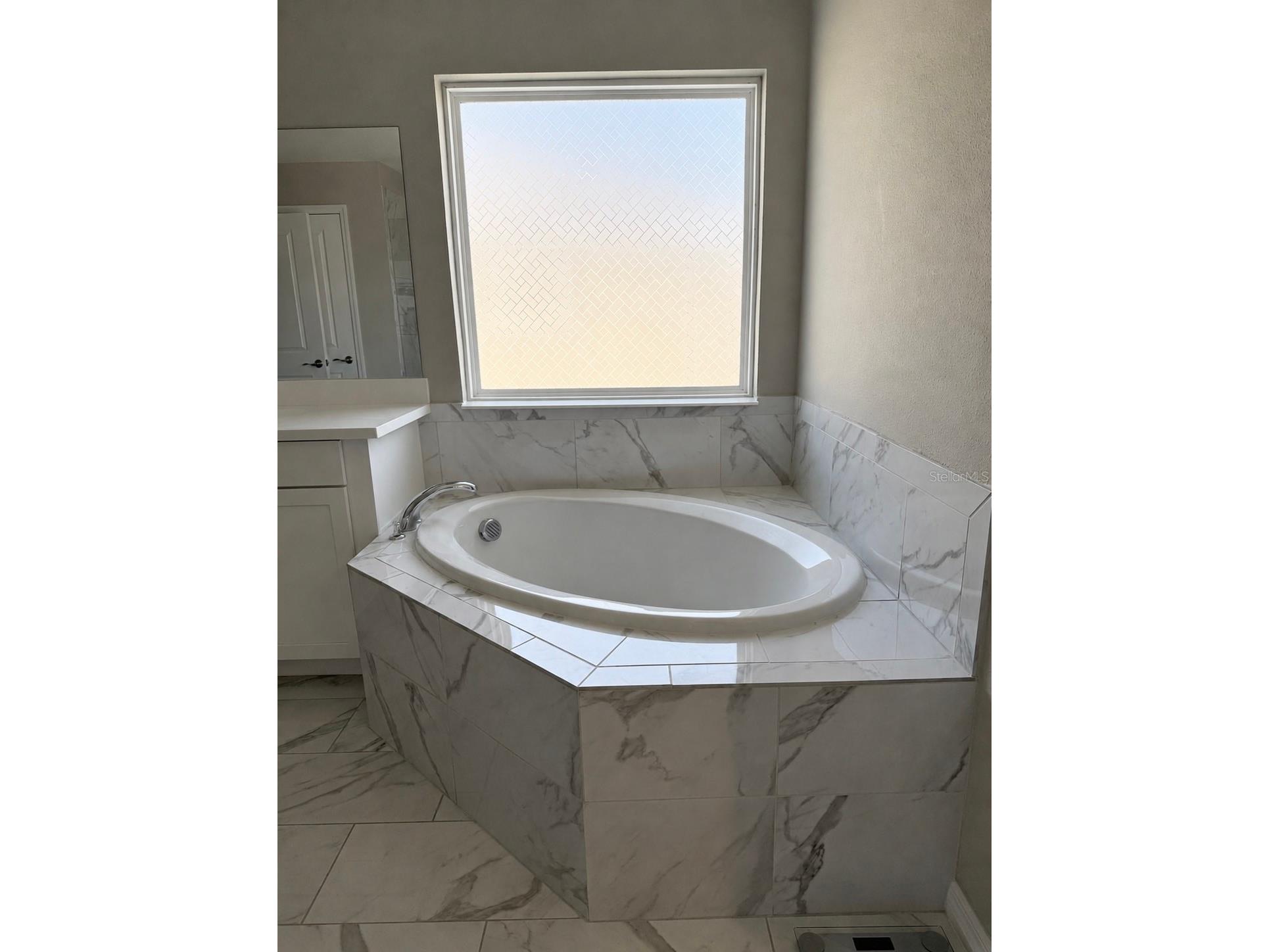 13521 Palmera Vista Drive Riverview FL 33579 TB8507162 image15
