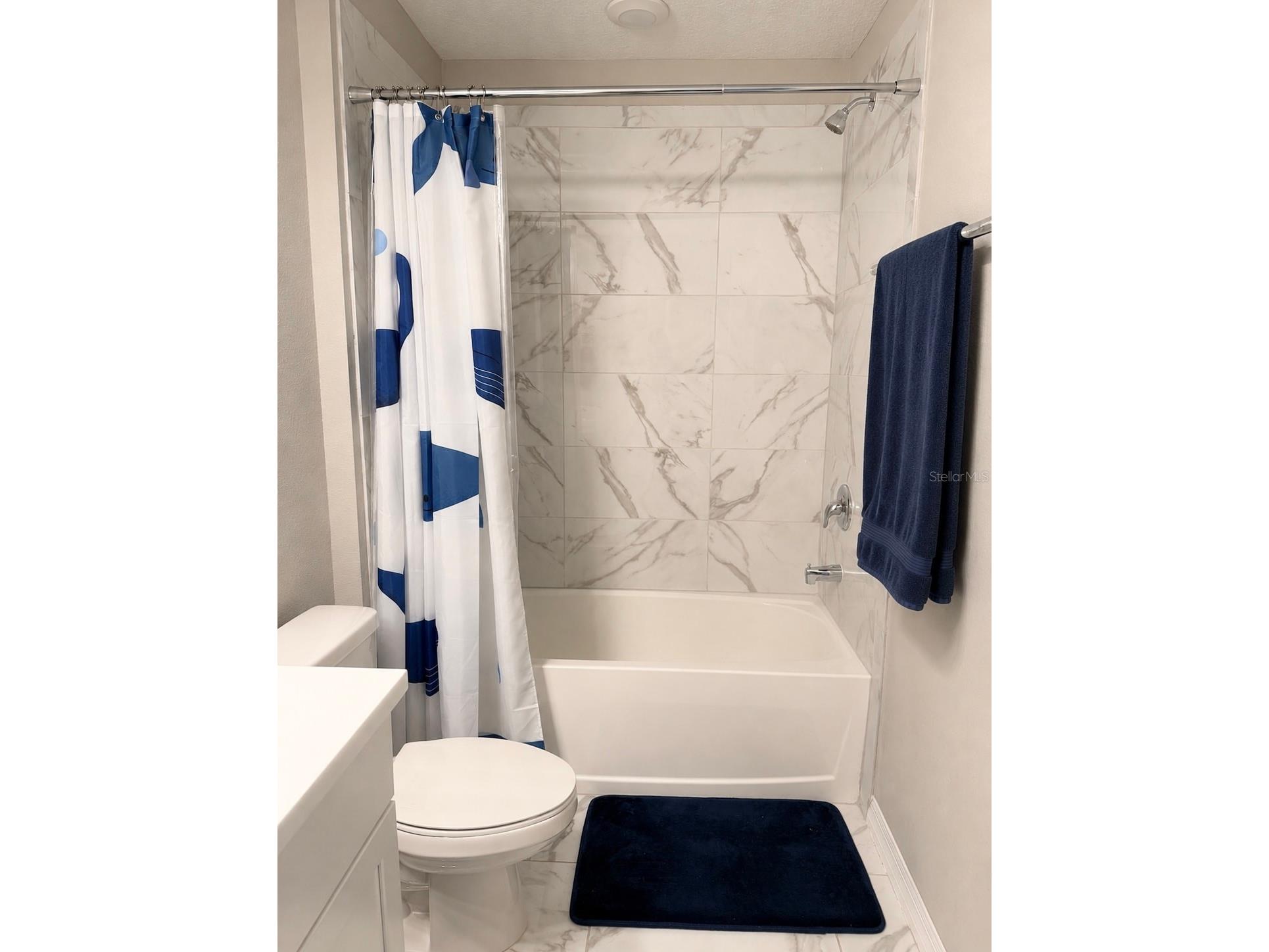 13521 Palmera Vista Drive Riverview FL 33579 TB8507162 image22
