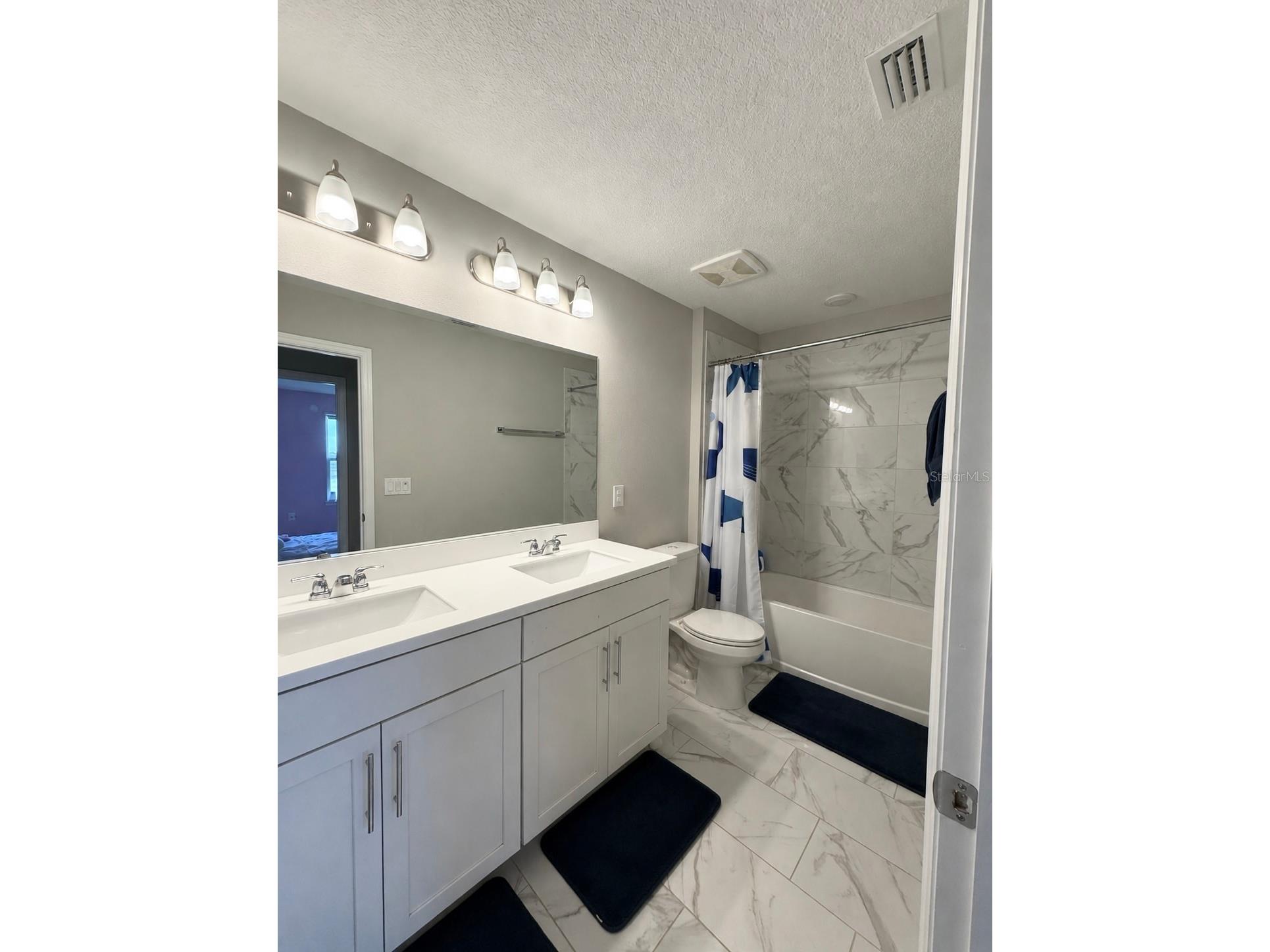 13521 Palmera Vista Drive Riverview FL 33579 TB8507162 image23