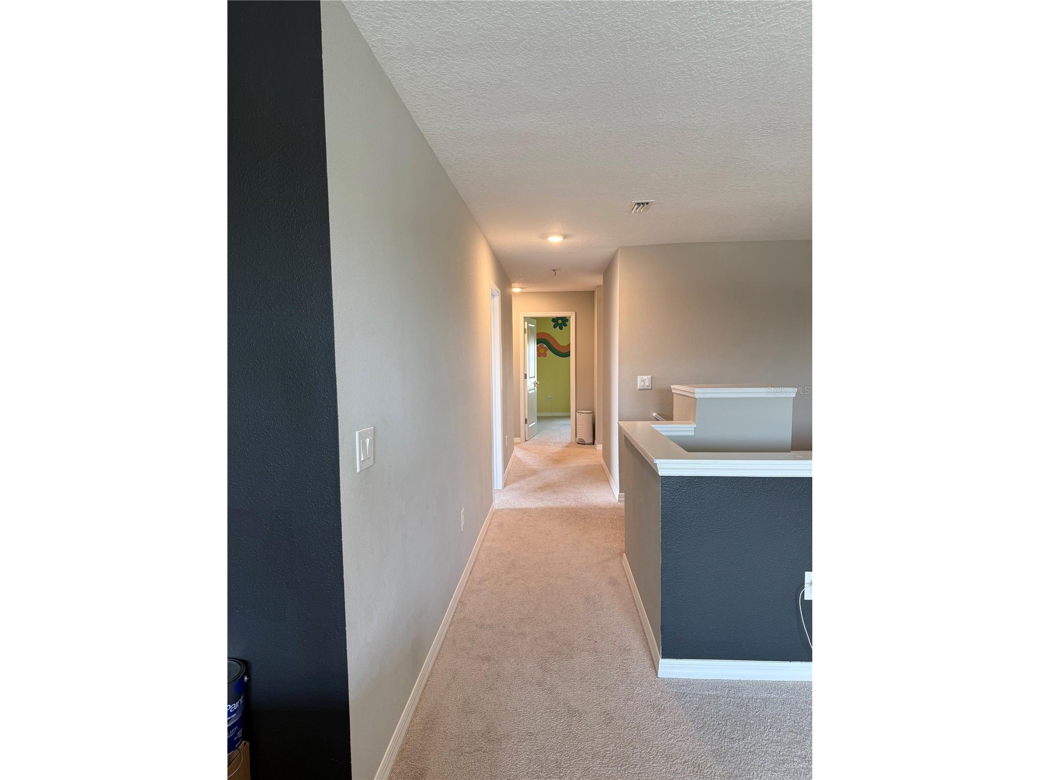 13521 Palmera Vista Drive Riverview FL 33579 TB8507162 image27