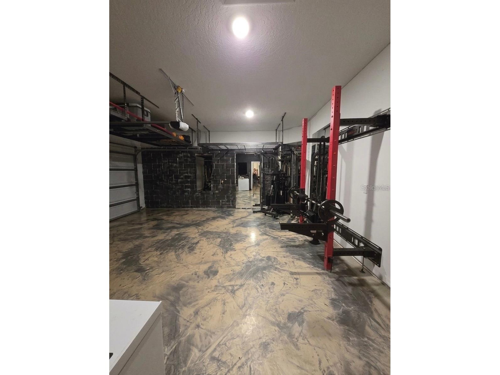 13521 Palmera Vista Drive Riverview FL 33579 TB8507162 image40