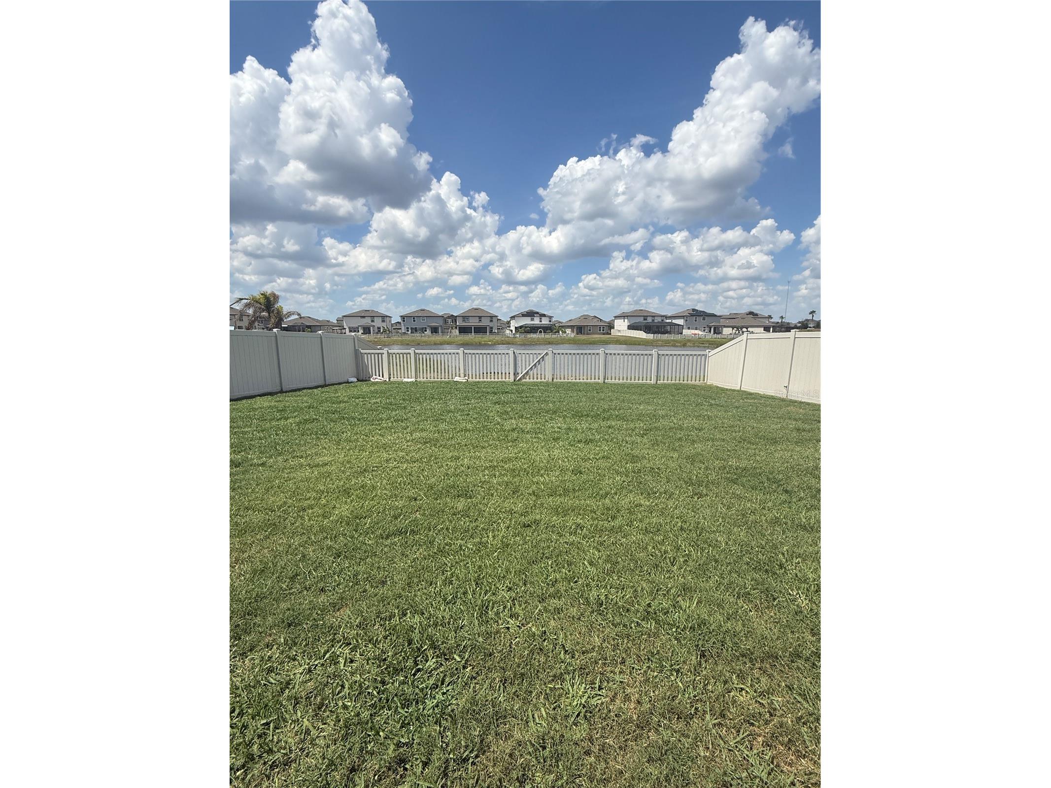 13521 Palmera Vista Drive Riverview FL 33579 TB8507162 image44