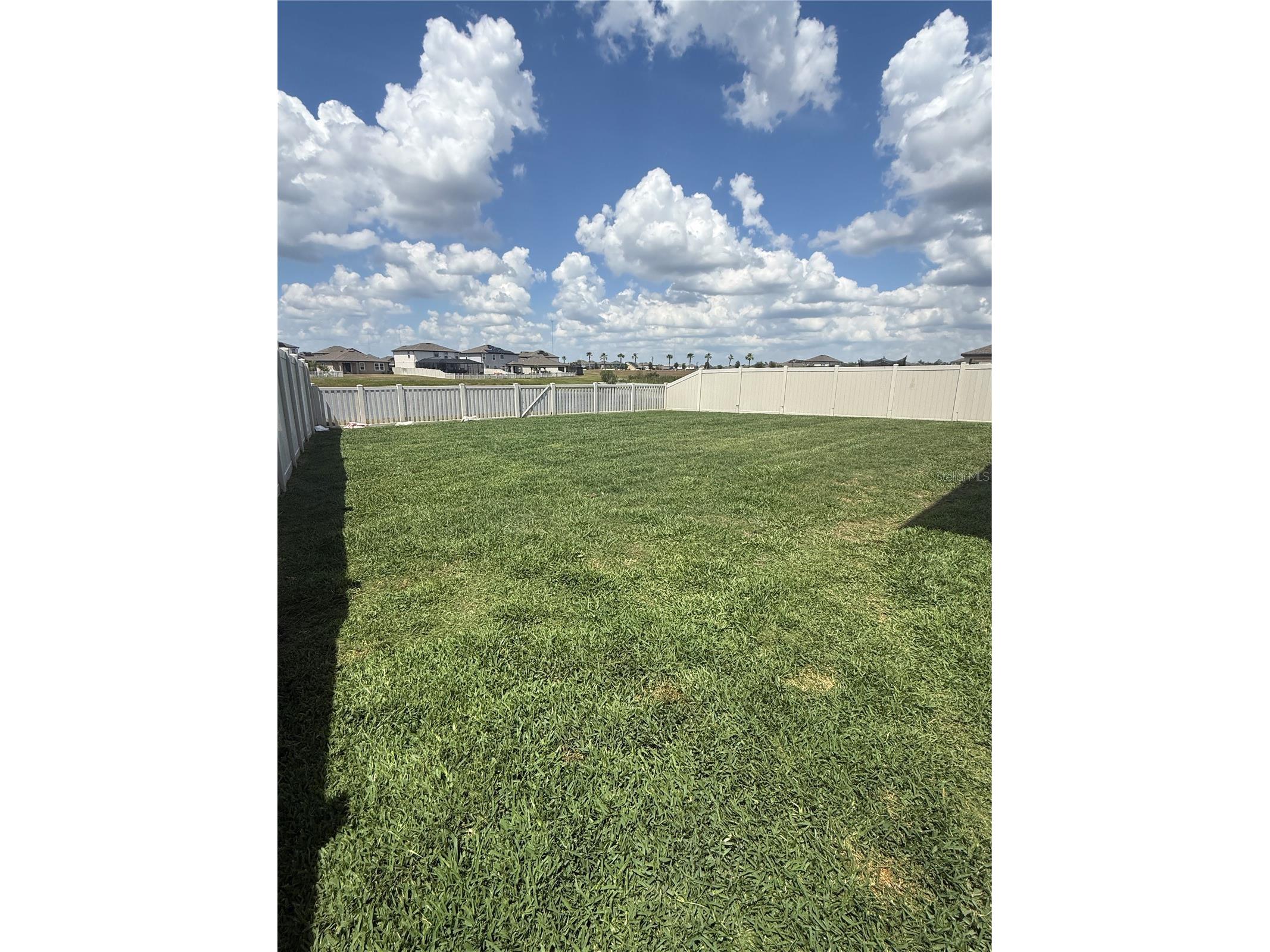 13521 Palmera Vista Drive Riverview FL 33579 TB8507162 image45