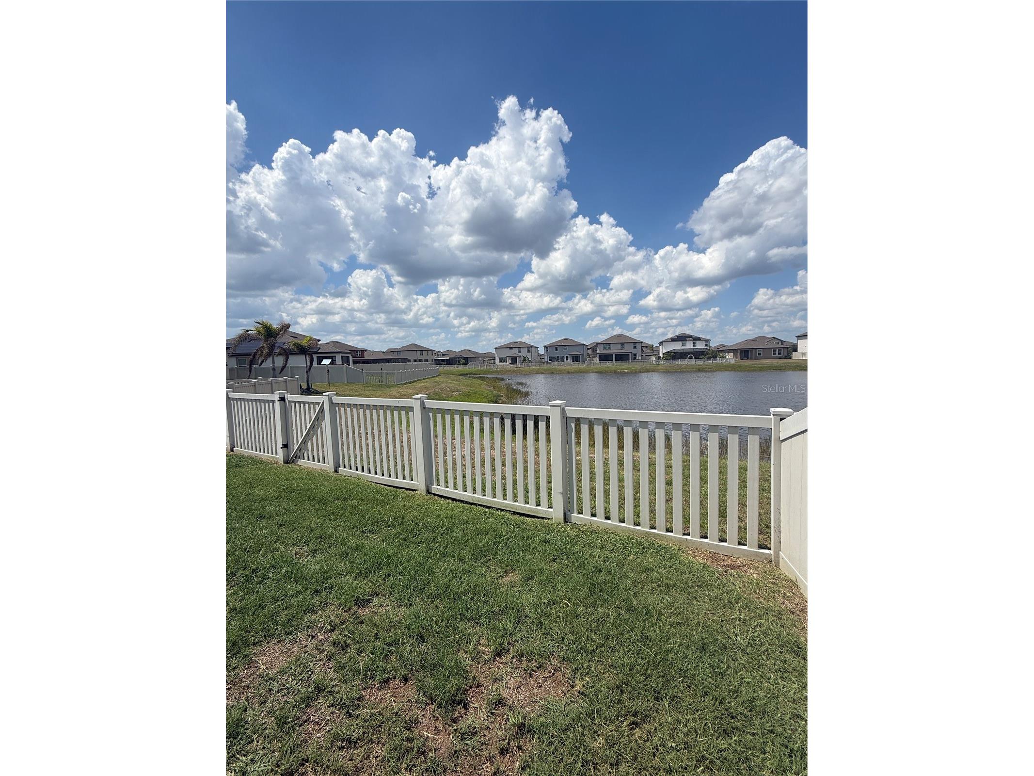 13521 Palmera Vista Drive Riverview FL 33579 TB8507162 image46