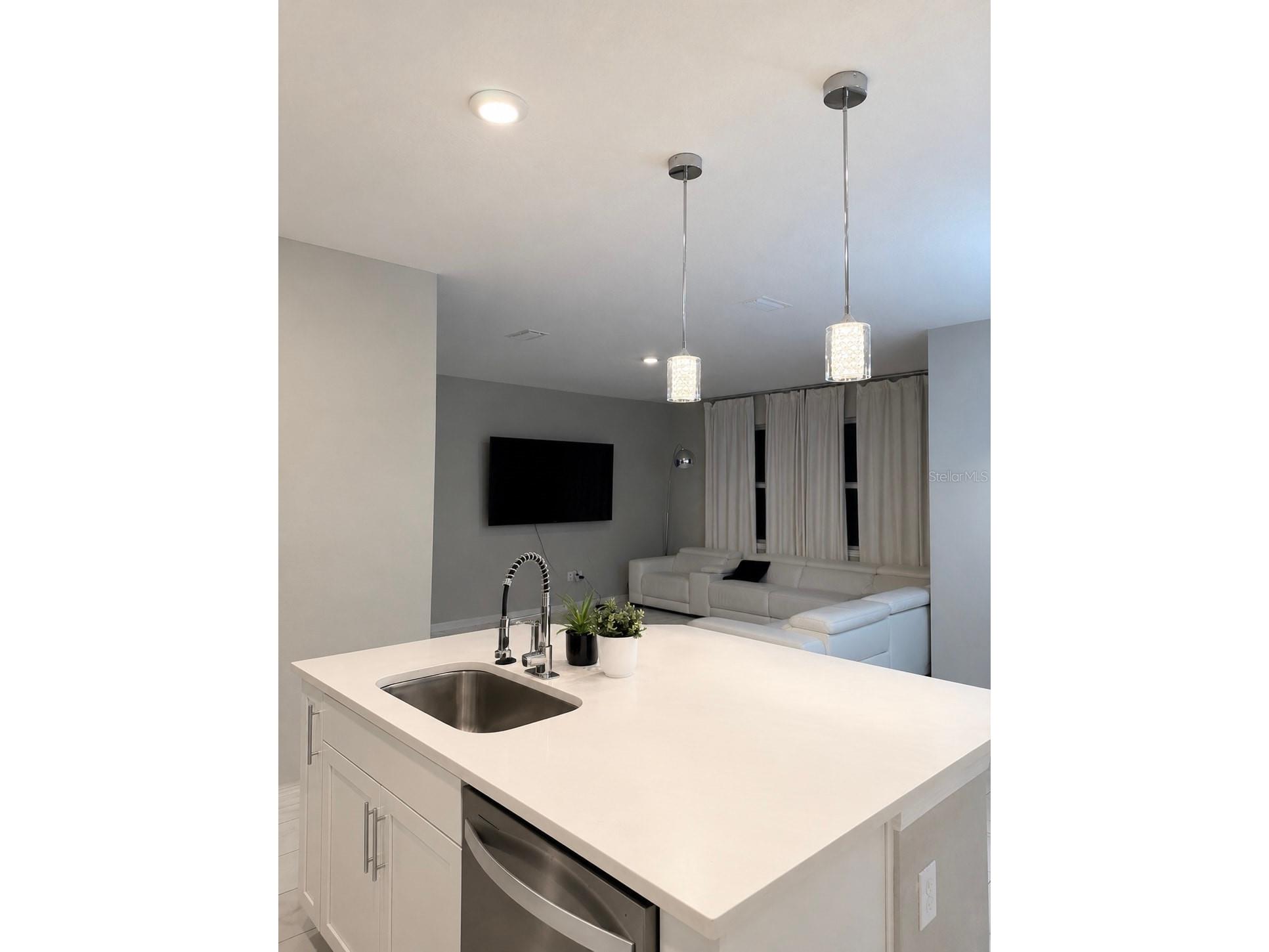 13521 Palmera Vista Drive Riverview FL 33579 TB8507162 image5