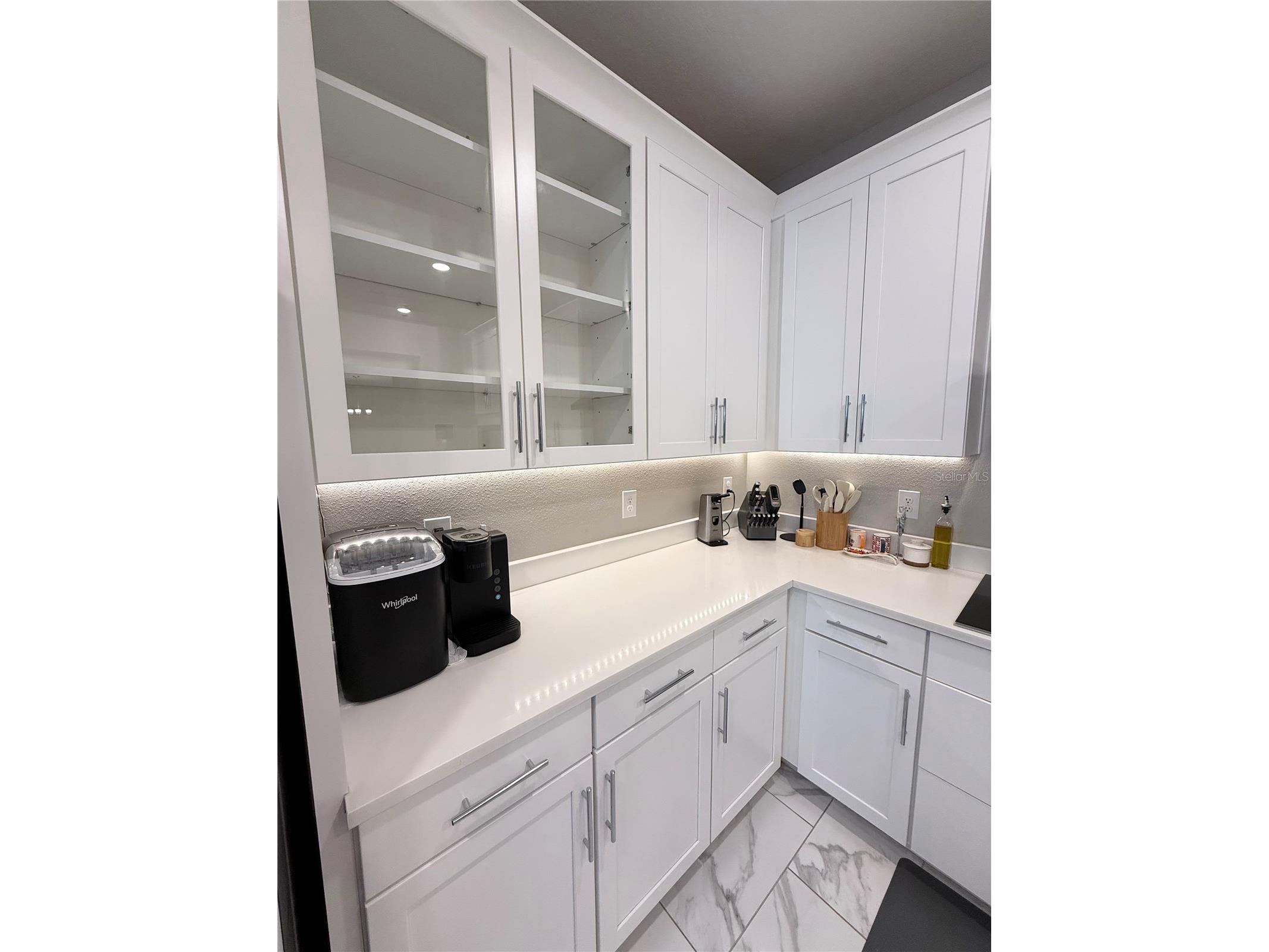 13521 Palmera Vista Drive Riverview FL 33579 TB8507162 image8