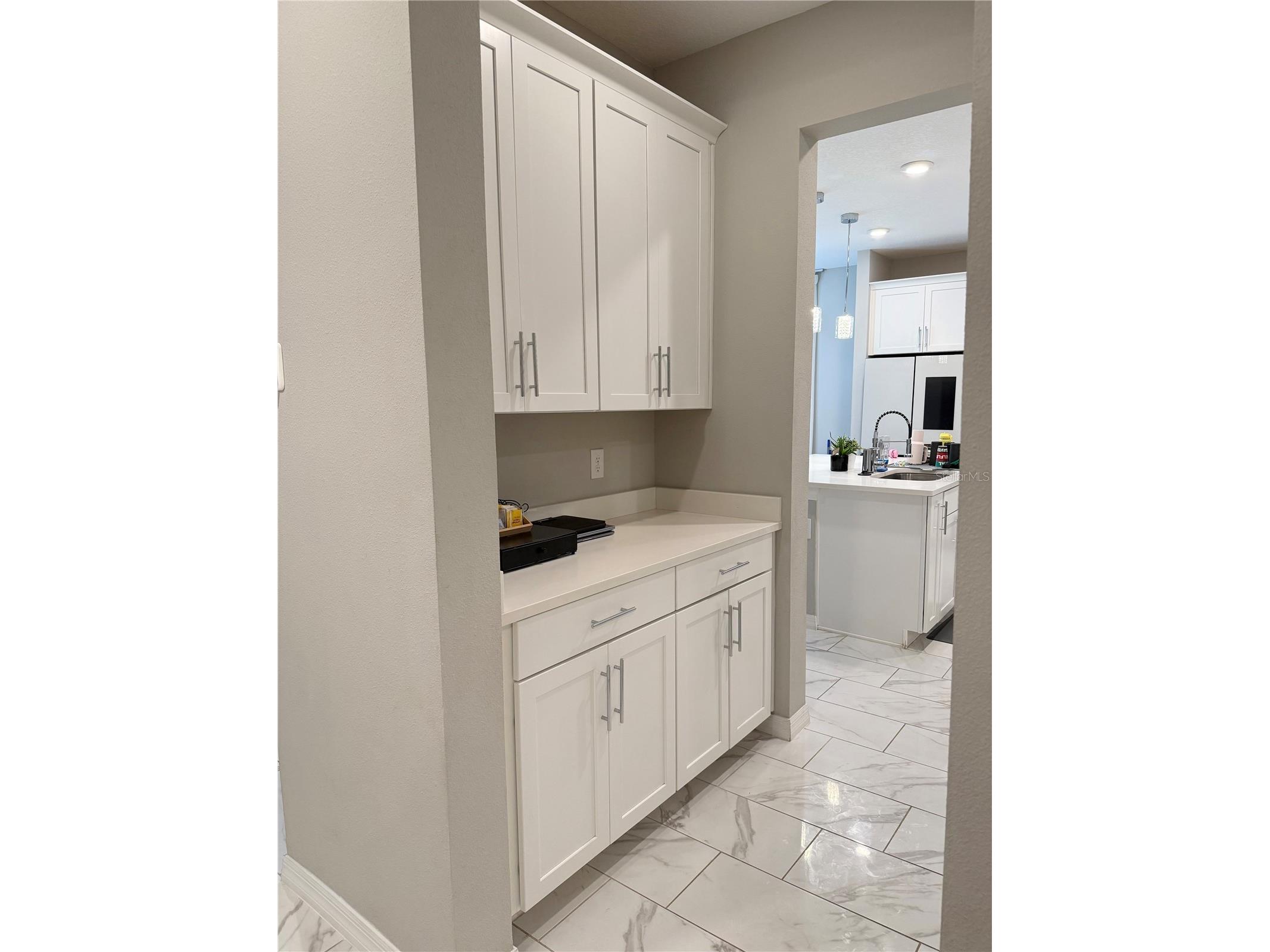 13521 Palmera Vista Drive Riverview FL 33579 TB8507162 image9