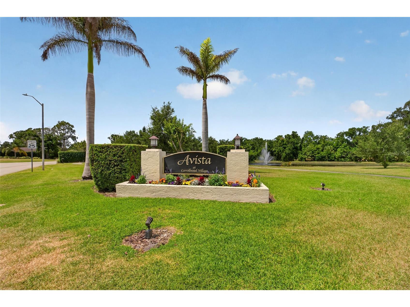 13522 Avista Drive Tampa FL 33624 TB8499389 image63