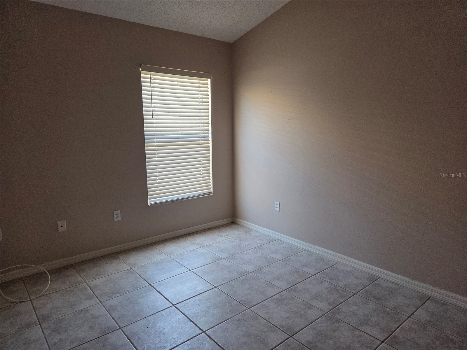 13523 White Elk Loop Tampa FL 33626 TB8487293 image20