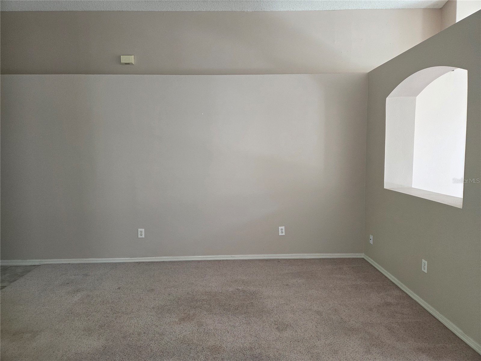 13523 White Elk Loop Tampa FL 33626 TB8487293 image24