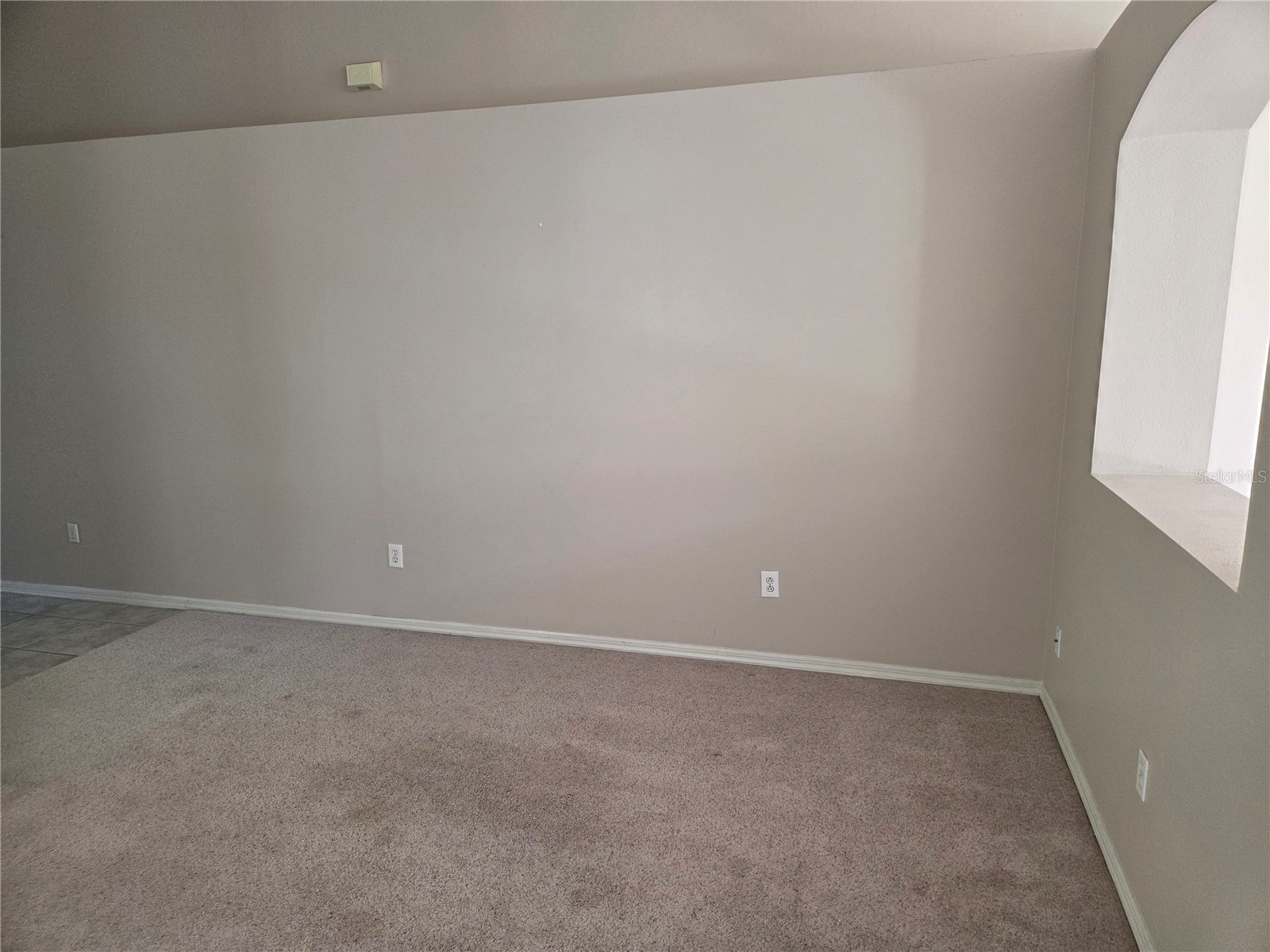13523 White Elk Loop Tampa FL 33626 TB8487293 image25