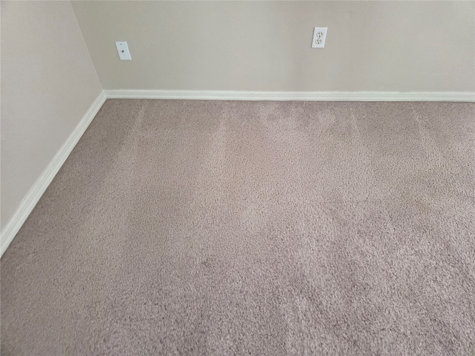 13523 White Elk Loop Tampa FL 33626 TB8487293 image26