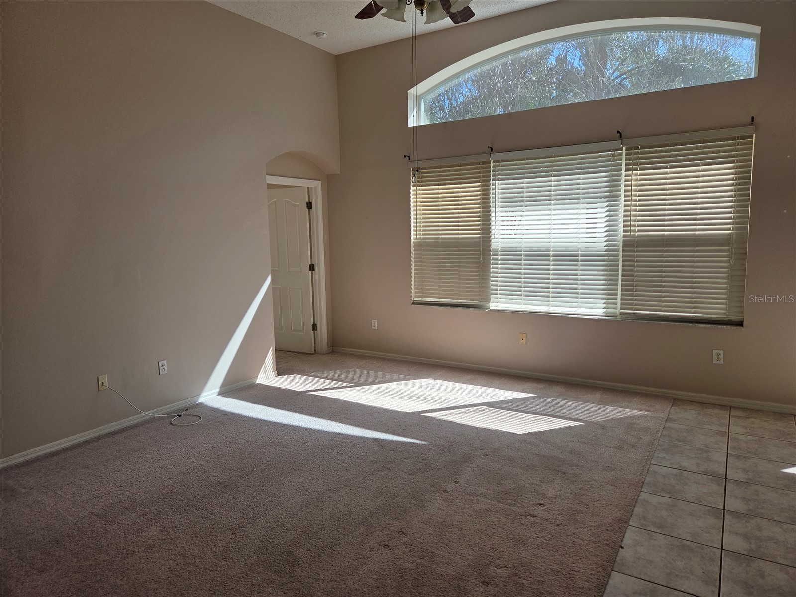13523 White Elk Loop Tampa FL 33626 TB8487293 image3