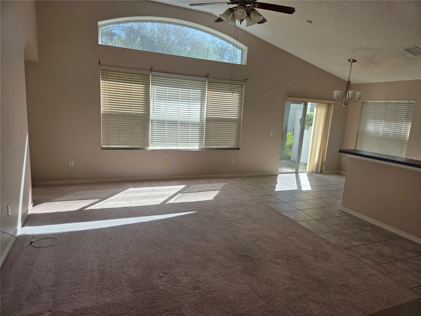 13523 White Elk Loop Tampa FL 33626 TB8487293 image5