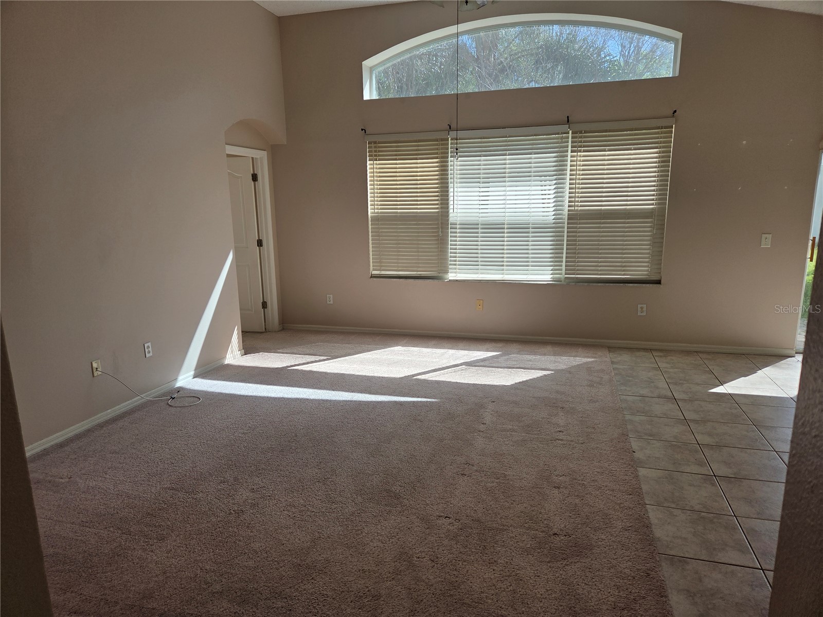 13523 White Elk Loop Tampa FL 33626 TB8487293 image8