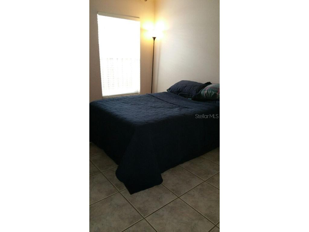 13523 White Elk Loop Tampa FL 33626 W7879621 image10