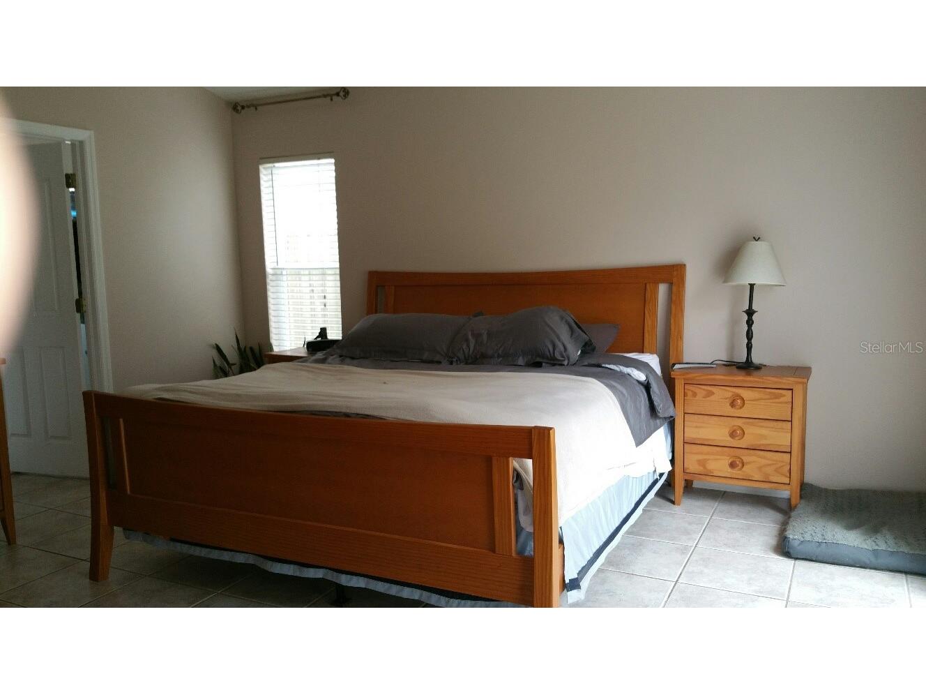 13523 White Elk Loop Tampa FL 33626 W7879621 image12