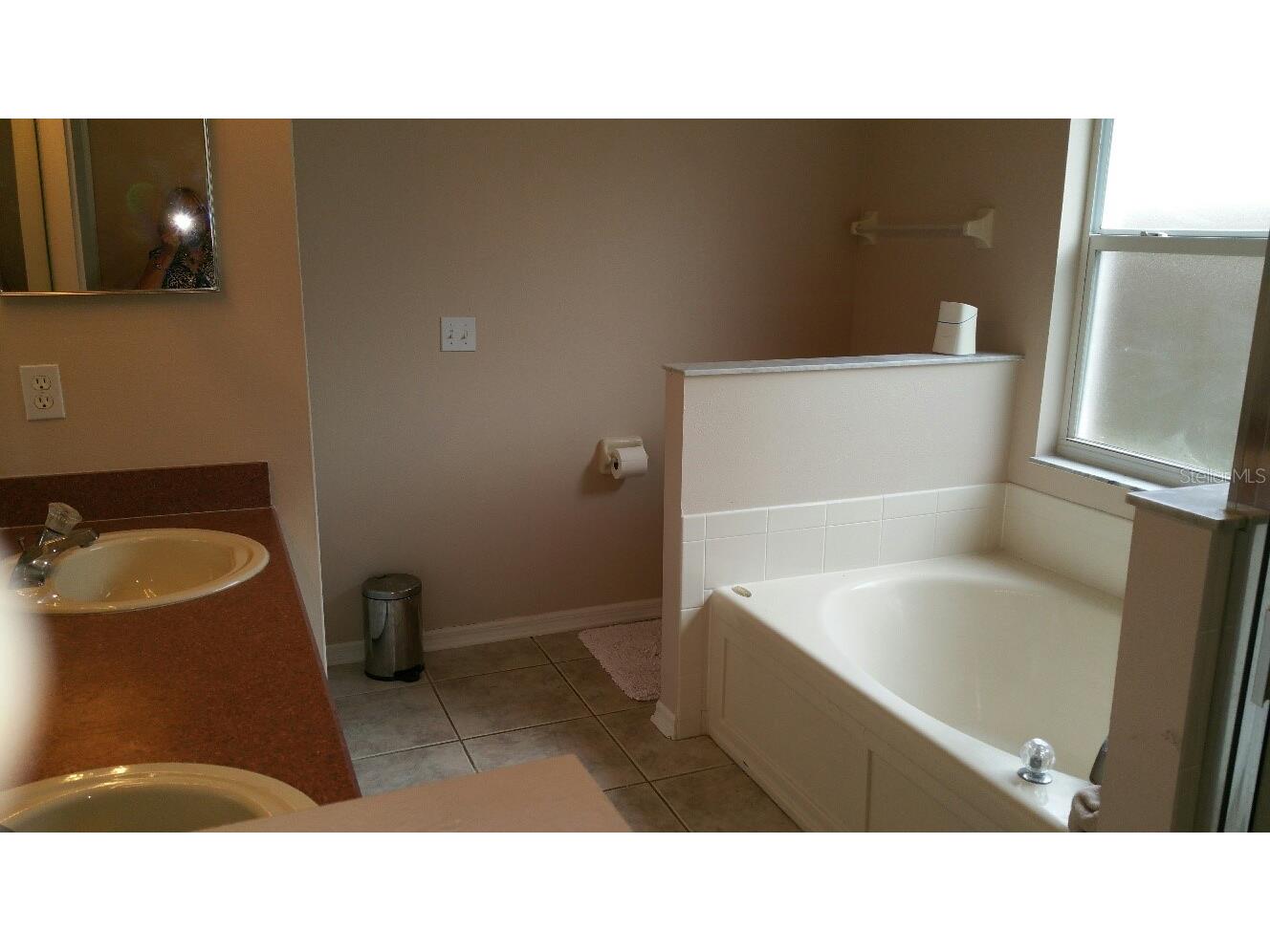 13523 White Elk Loop Tampa FL 33626 W7879621 image13