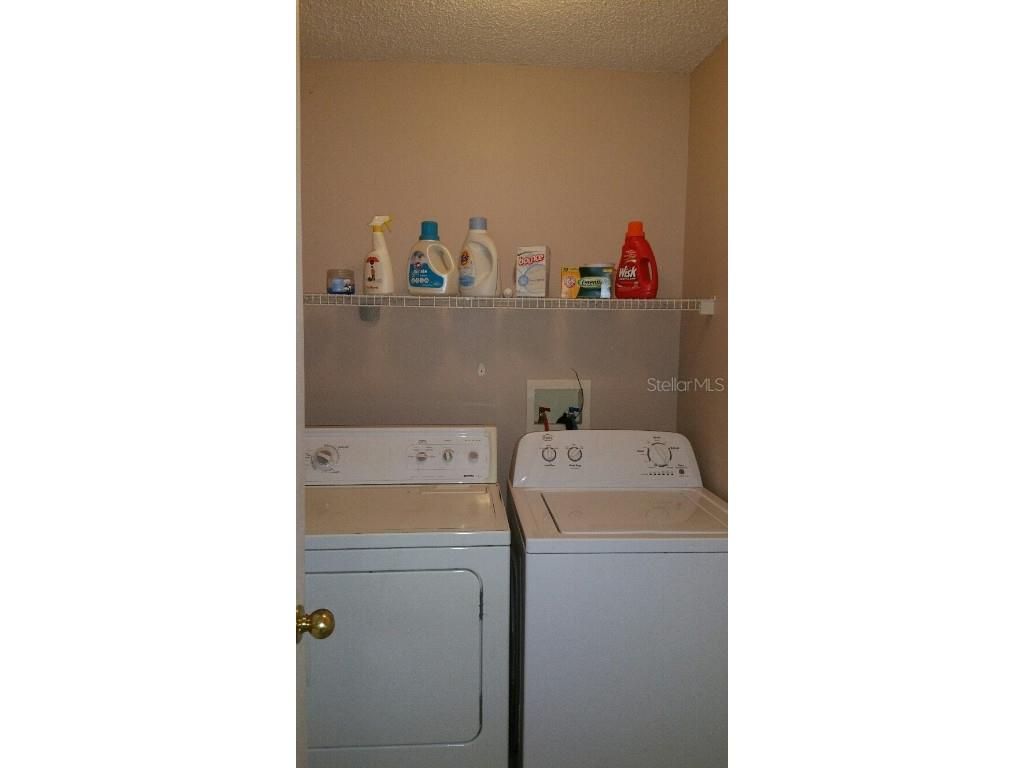 13523 White Elk Loop Tampa FL 33626 W7879621 image8