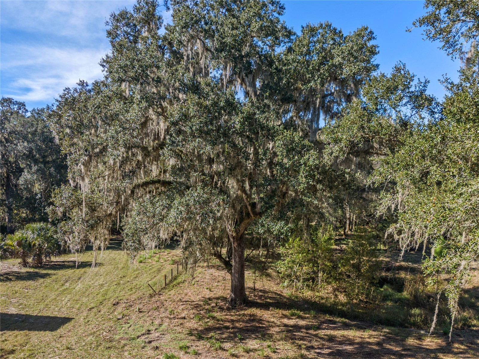 13524 Corkwood Lane Astatula FL 34705 - No name G5076410 image6