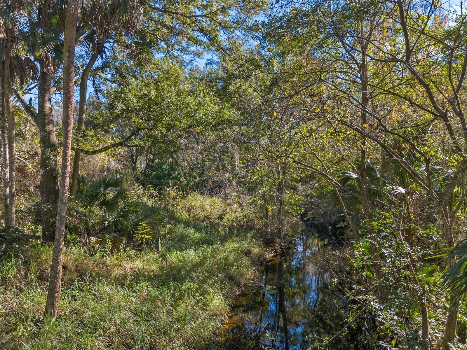 13524 Corkwood Lane Astatula FL 34705 - No name G5109233 image4