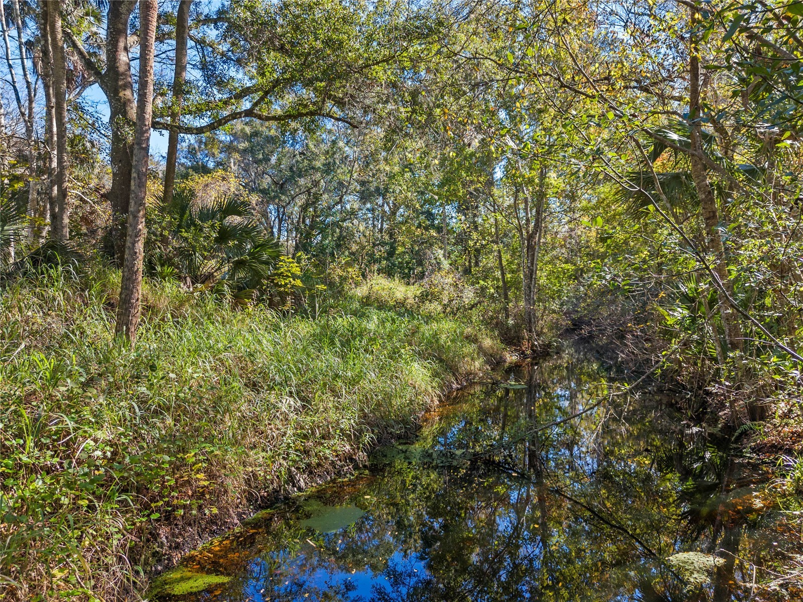 13524 Corkwood Lane Astatula FL 34705 - No name G5109233 image5