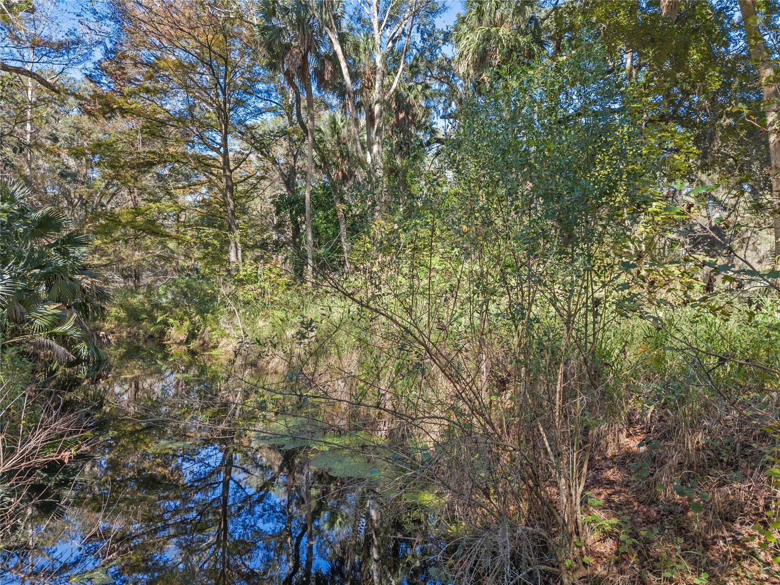13524 Corkwood Lane Astatula FL 34705 - No name G5109233 image6