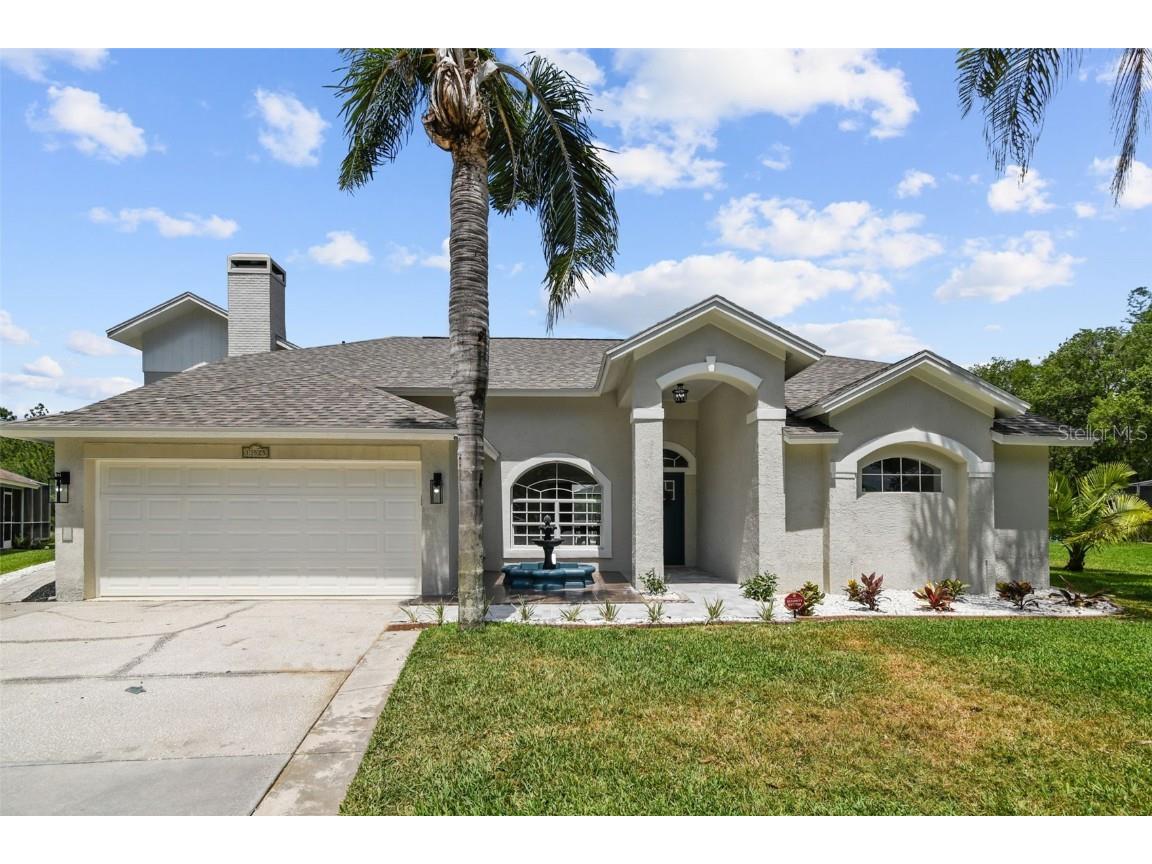 13525 Ironton Drive Tampa FL 33626 T3421730 image1